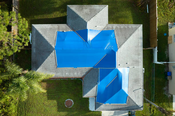 Best Roof Moss and Algae Removal  in Richland, MS