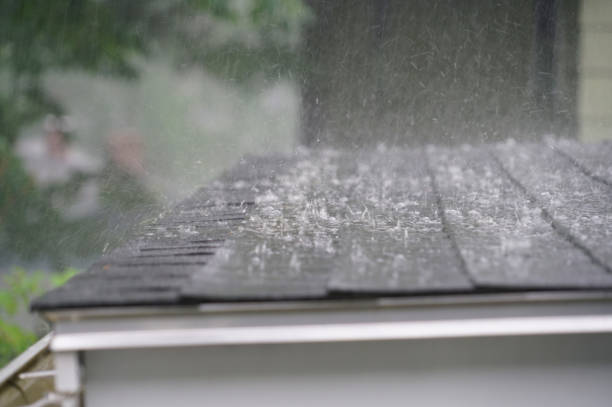 Best Roof Waterproofing  in Richland, MS