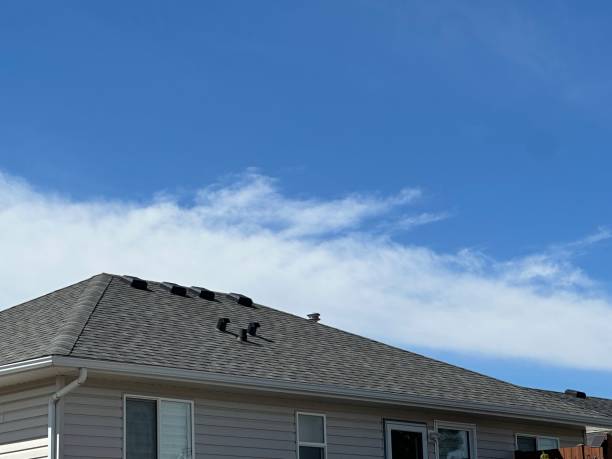 Best Roof Ventilation Installation  in Richland, MS